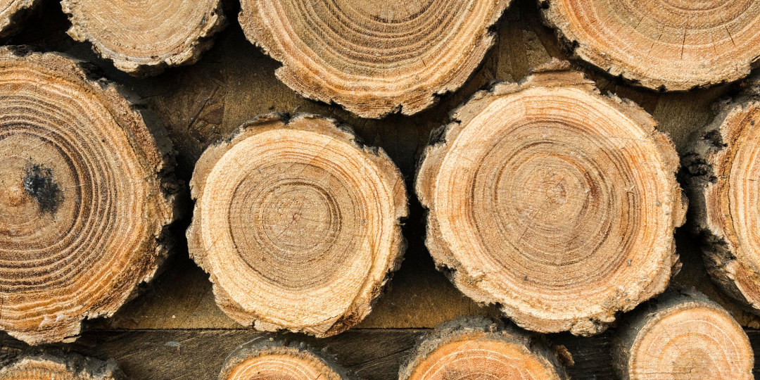 Copia de Post de Instagram Podcast Beige Neutro (6)